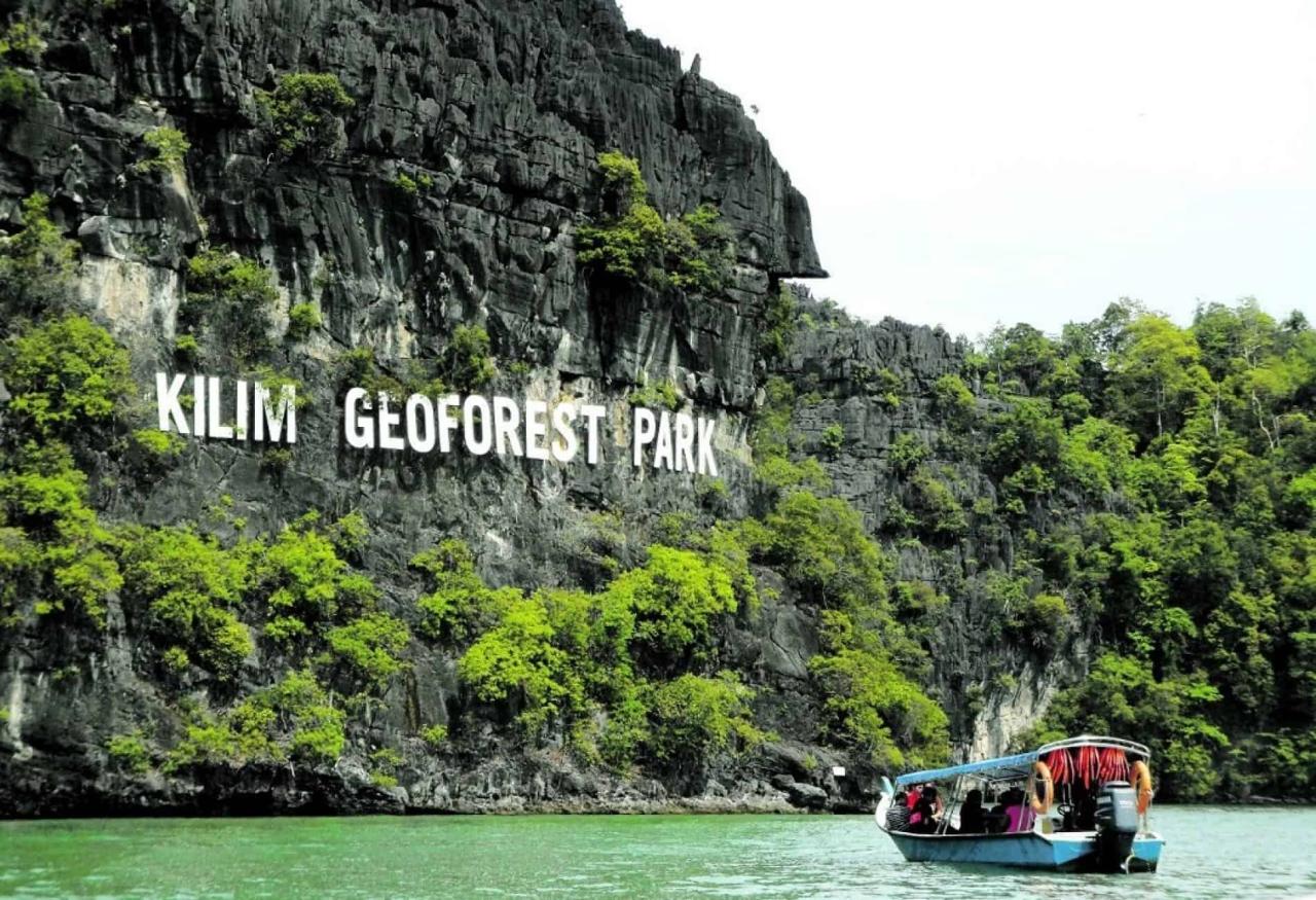 Jelajahi Ekosistem Mangrove Langkawi yang Menawan dengan Tur Mangrove